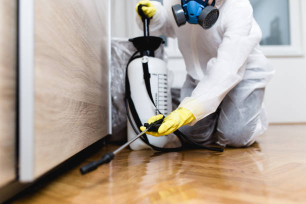 Best Wasp Removal Services  in Heritage Village, CT