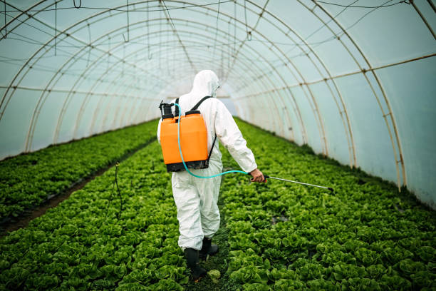 Best Pest Inspection Near Me  in Heritage Village, CT
