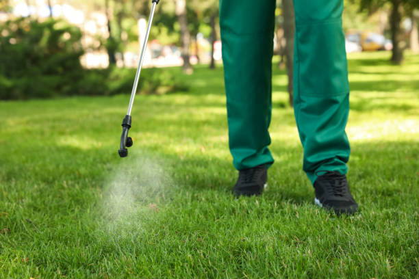 Best Pest Control Near Me  in Heritage Village, CT