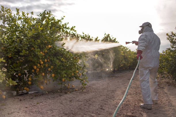 Best Affordable Pest Control Services  in Heritage Village, CT