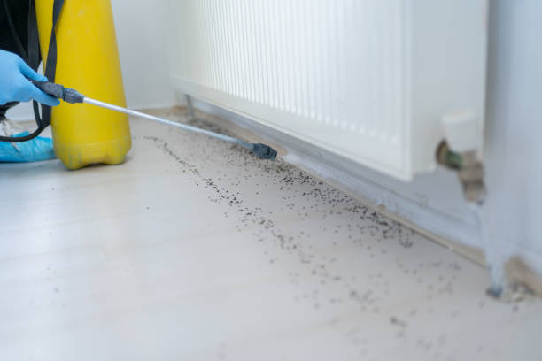 Best Pest Prevention Services  in Heritage Village, CT